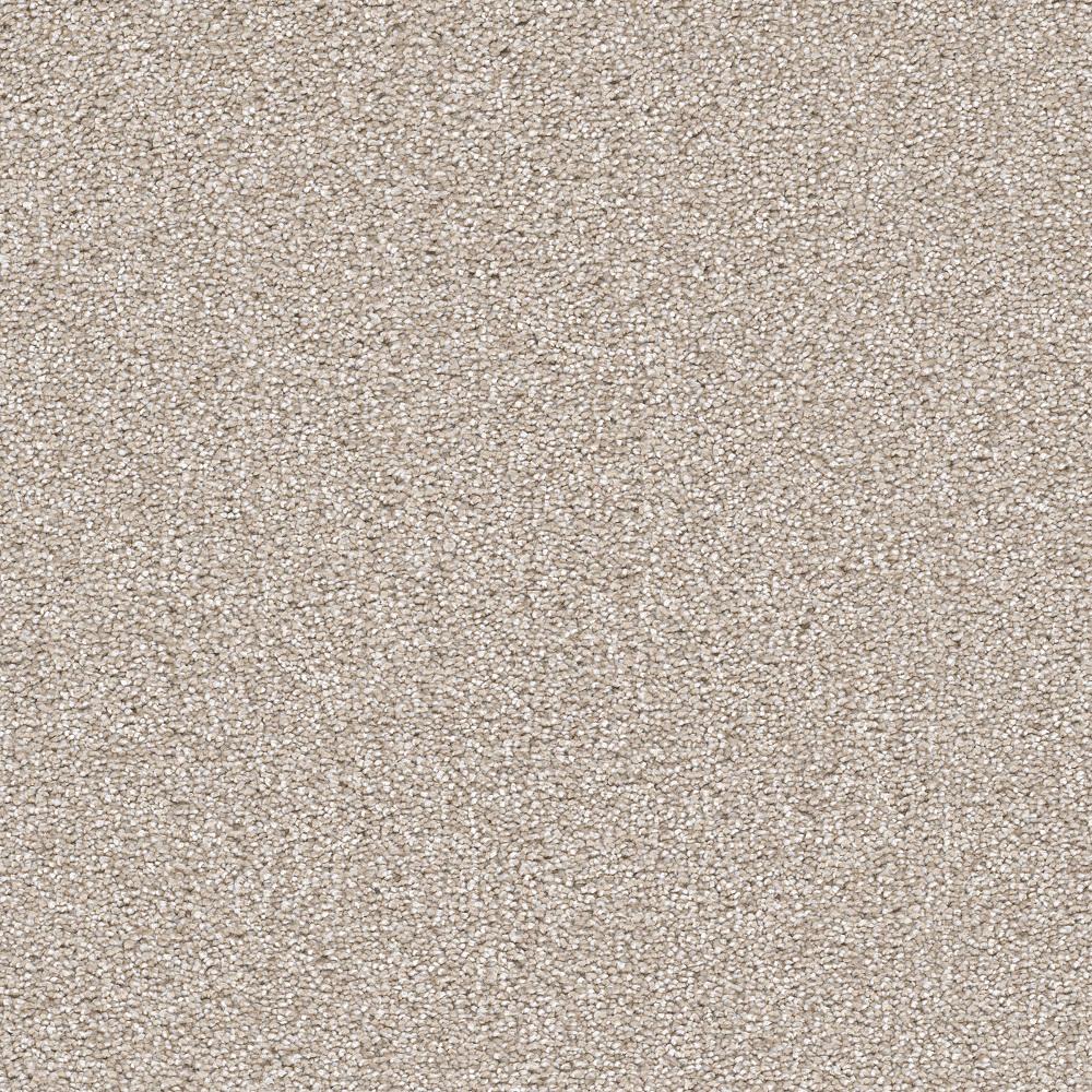 Home Decorators Collection Perfected I - Color Tasteful Texture 12 ft