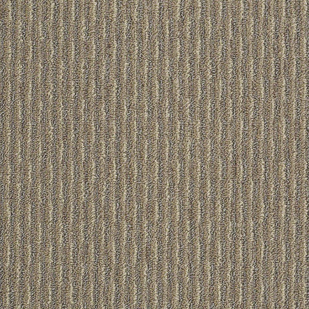 carpet sample morro bay in color desert beige 8 in x 8 in sh