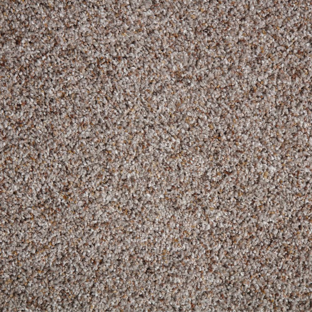 PetProof Carpet Sample - Collinger I Color - Dorian Texture 8 in. x 8 ...