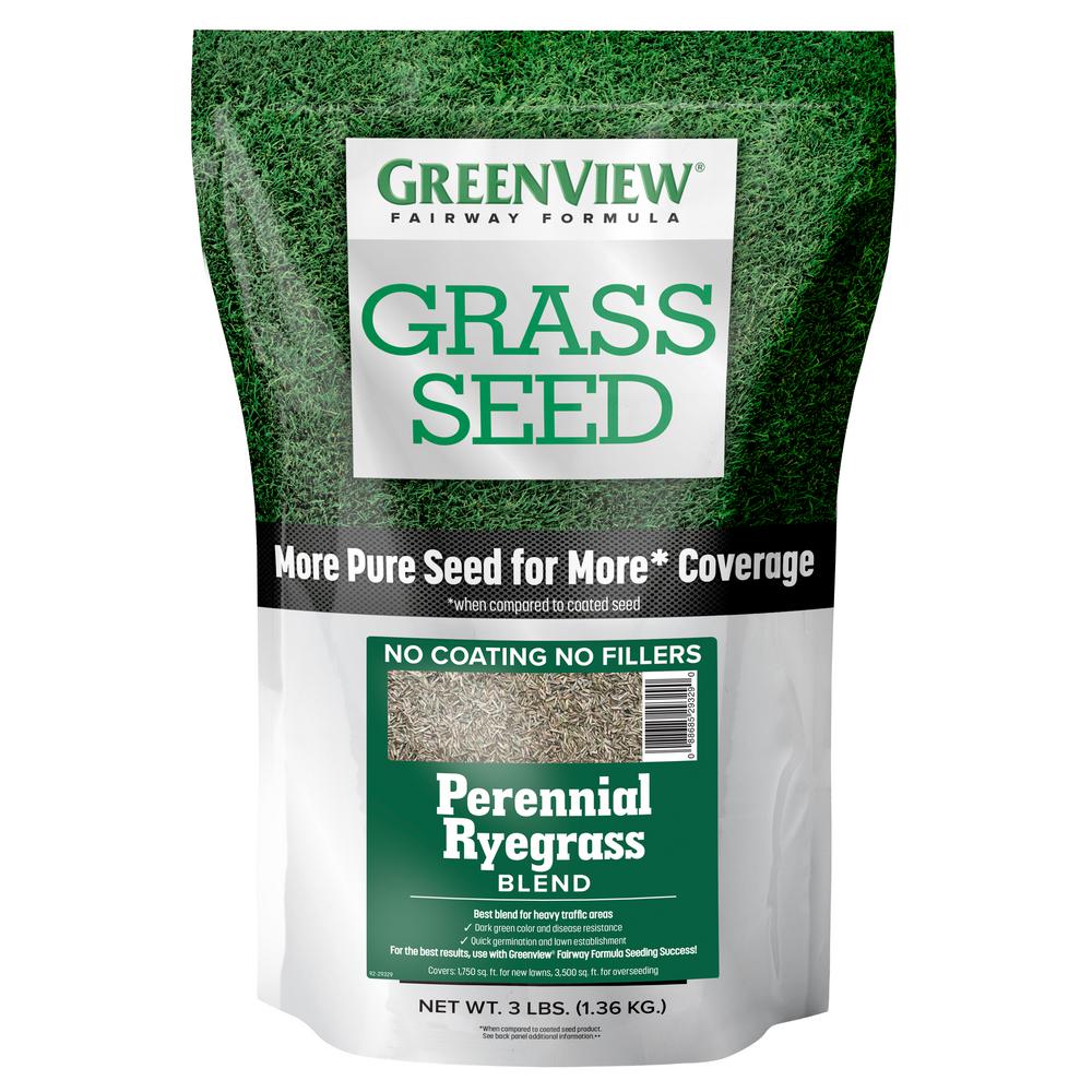 home depot grass seed