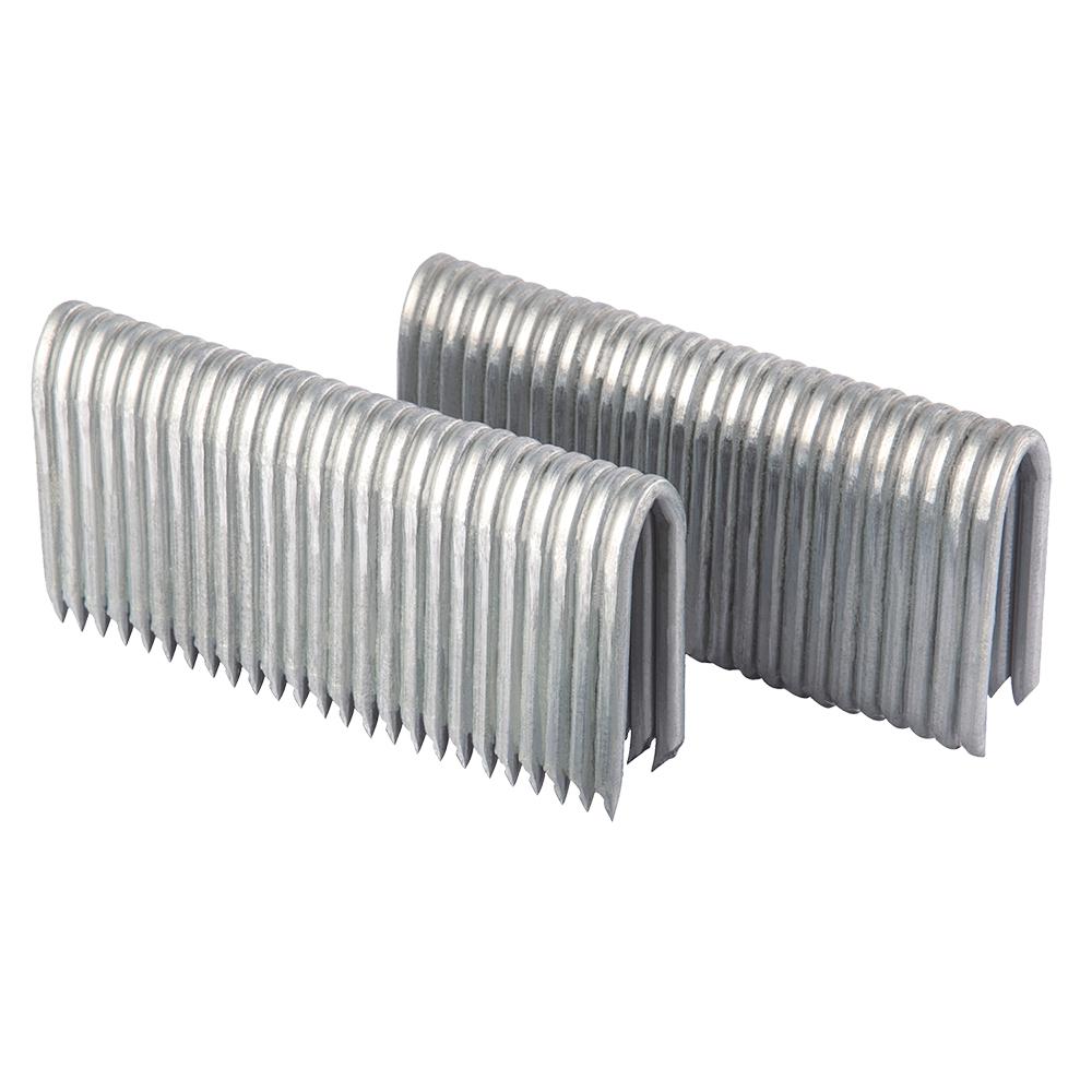 Freeman 2 inch 9-Gauge Galvanized Steel Fencing Staples (1000-Pack) by Freeman