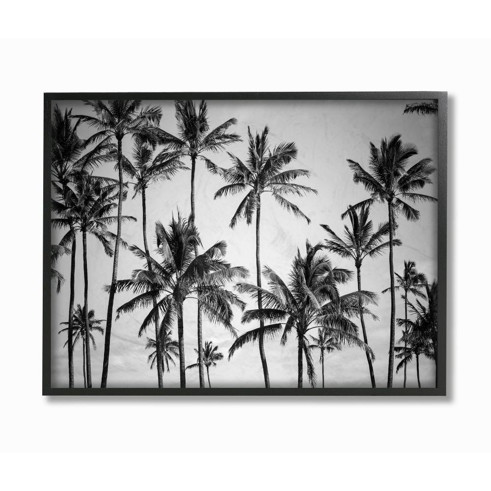 11 In X 14 In Palm Trees Skyline Black And White Photography By Design Fabrikken Framed Wall Art