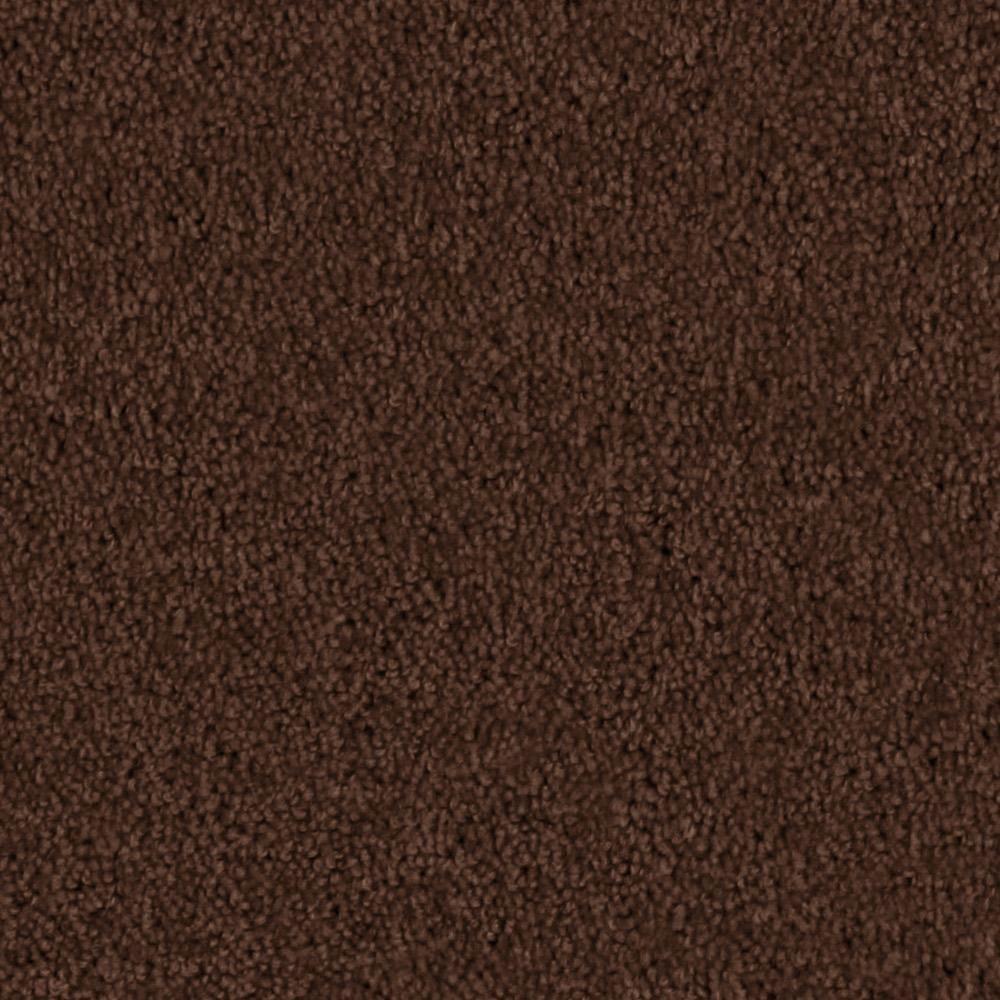 TrafficMASTER Team Builder - Color Rustic Brown 15 ft. Carpet-6792-18 ...