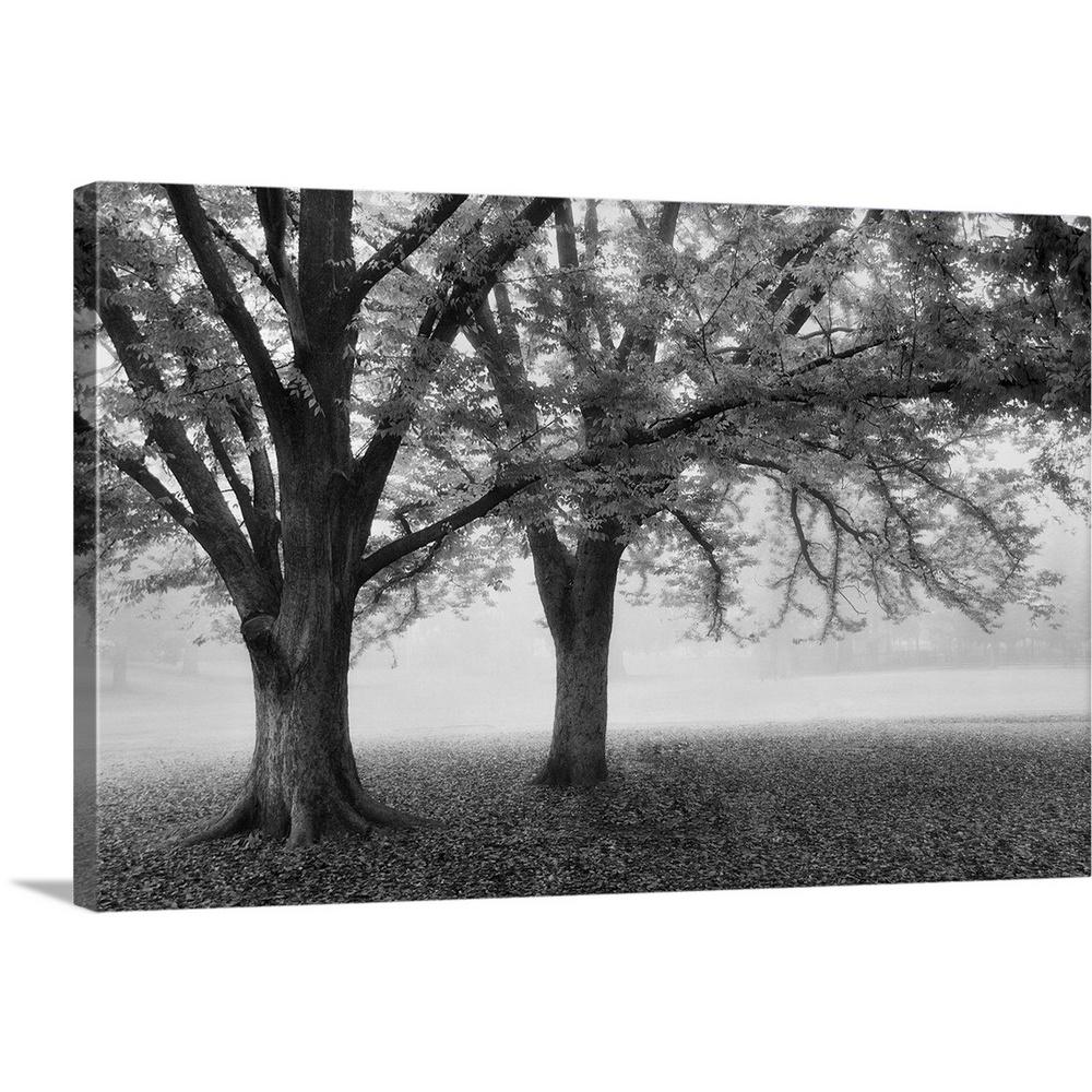 Black And White Tree By Dianne Poinski Canvas Wall Art