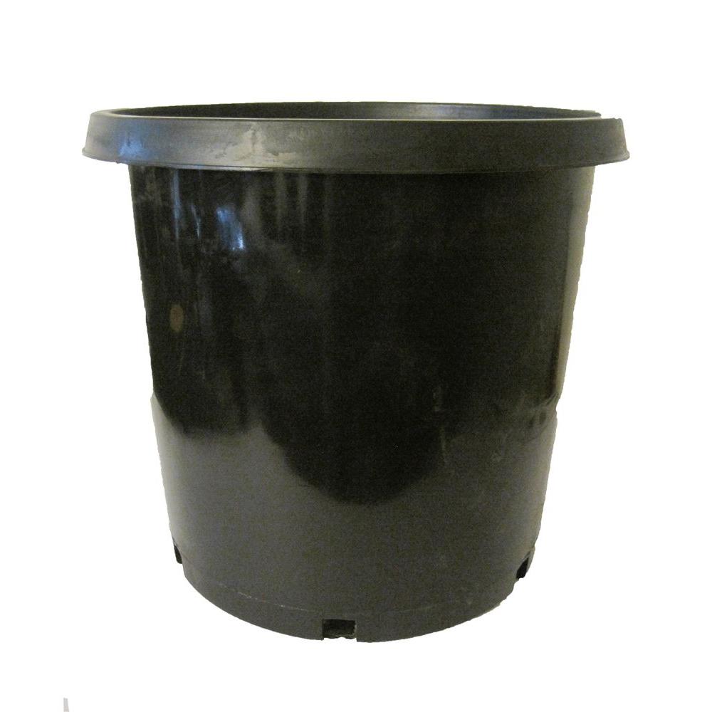 Niu 10 Gal. Black Plastic Nursery Nursery Pot658741 The Home Depot