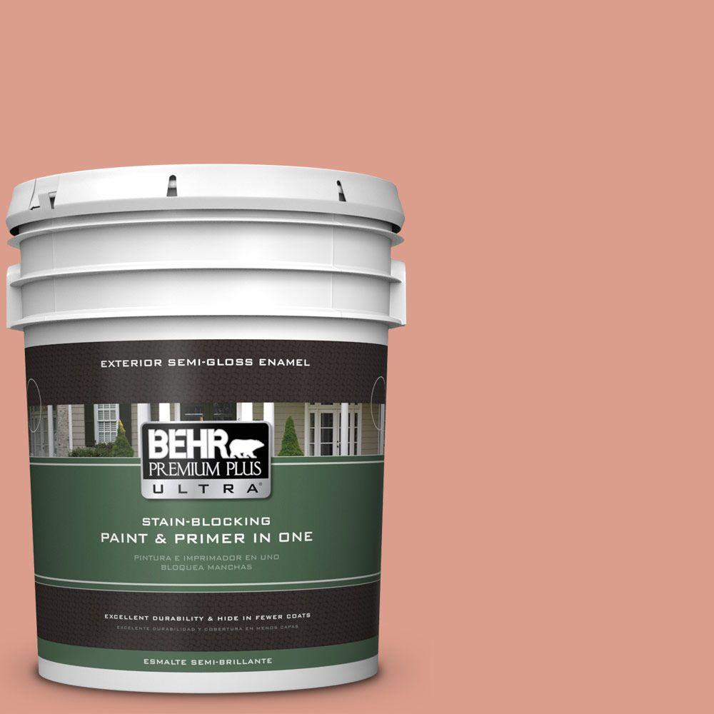 BEHR Premium Plus Ultra 5gal. 210D4 Medium Terracotta