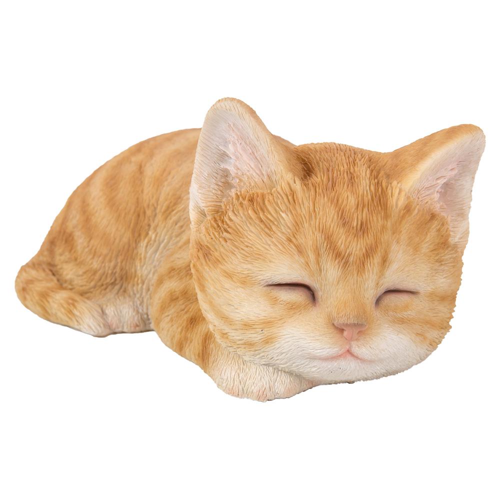 Orange Cat