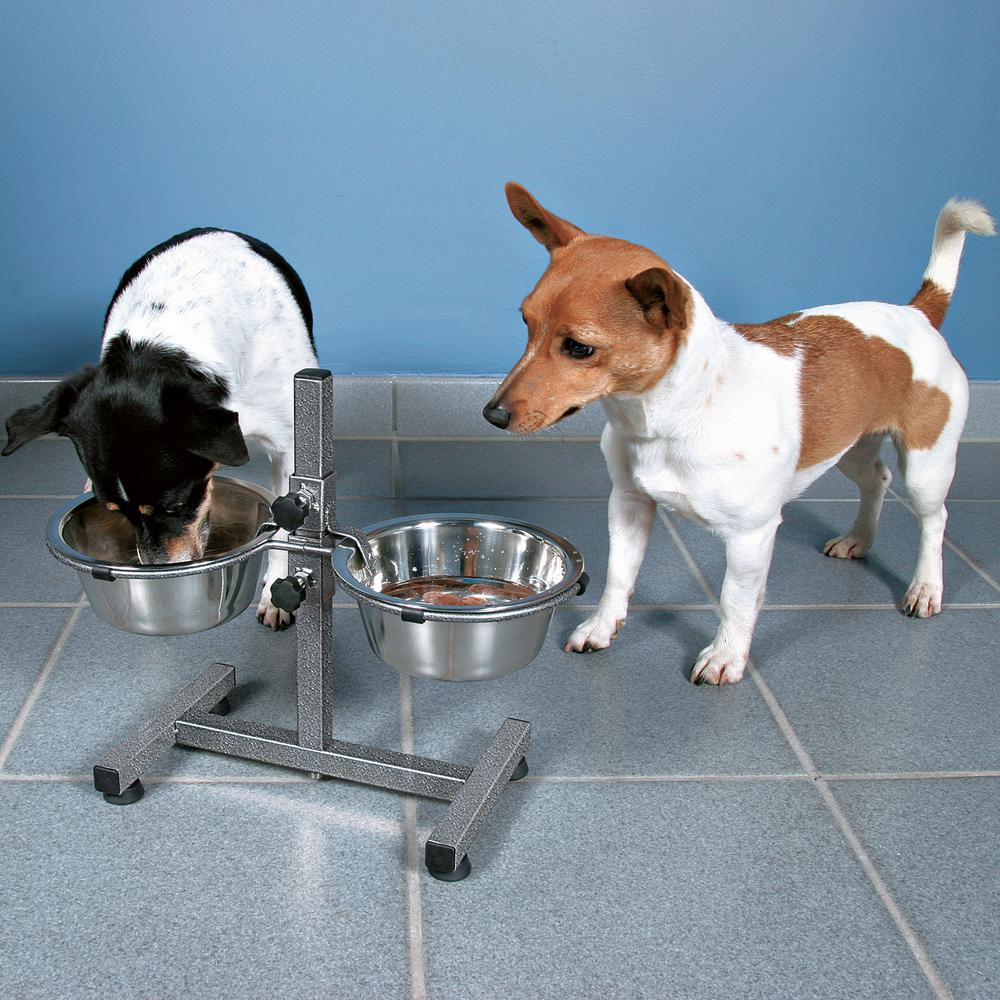 adjustable dog feeder stand