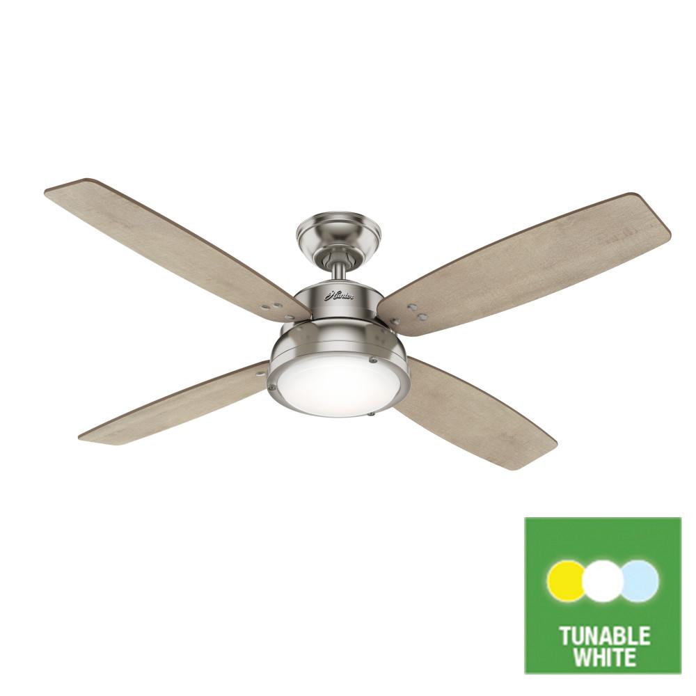 Hunter Wingate 52 In Led Indoor Brushed Nickel Tunable White Hunter Wingate 52 In Led Indoor