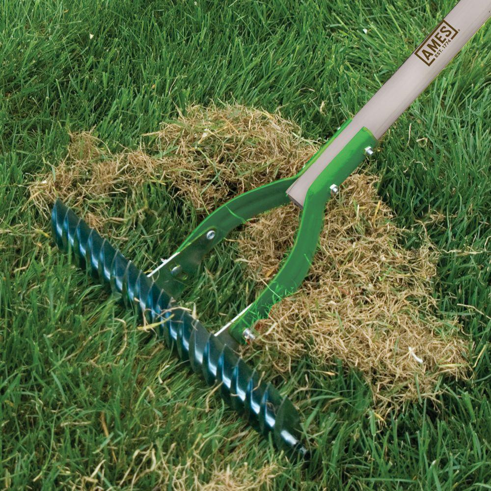 grass rake