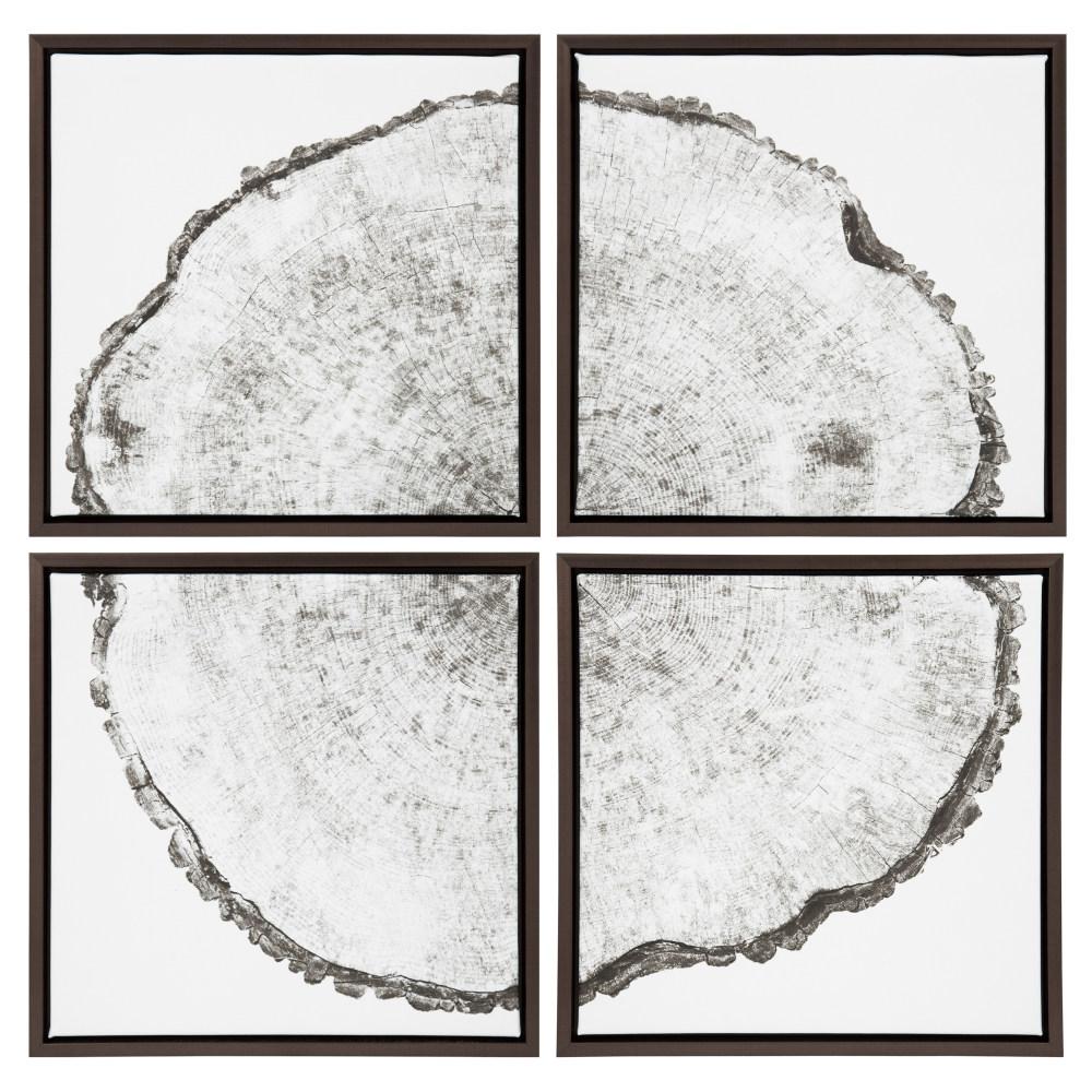 Kate And Laurel Sylvie Tree Rings By F2images Framed Canvas Wall