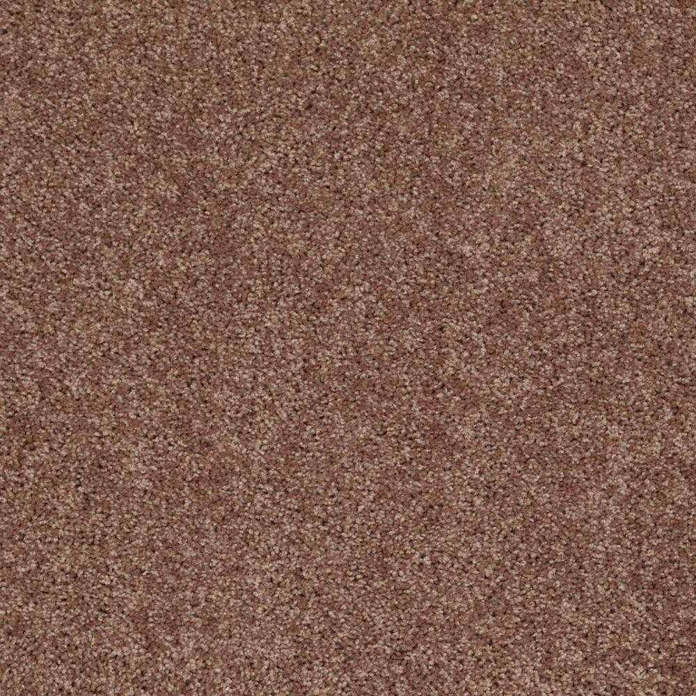 TrafficMASTER Palmdale I Color Coffee 15 ft. CarpetHDB5657721 The