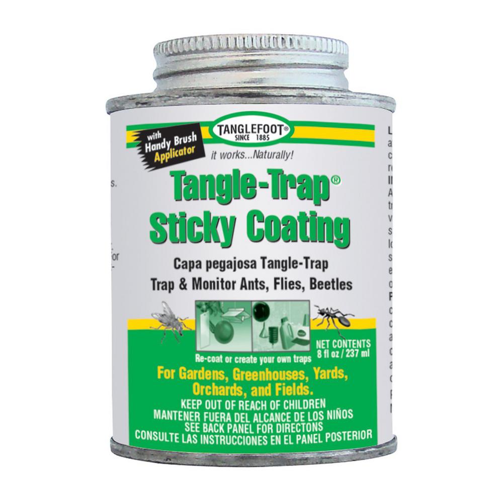 Tanglefoot Tangle-Trap Sticky Coating Can with Brush Cap by Tanglefoot