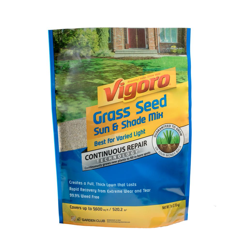 South Florida Grass Seed Lawn Care The Home Depot