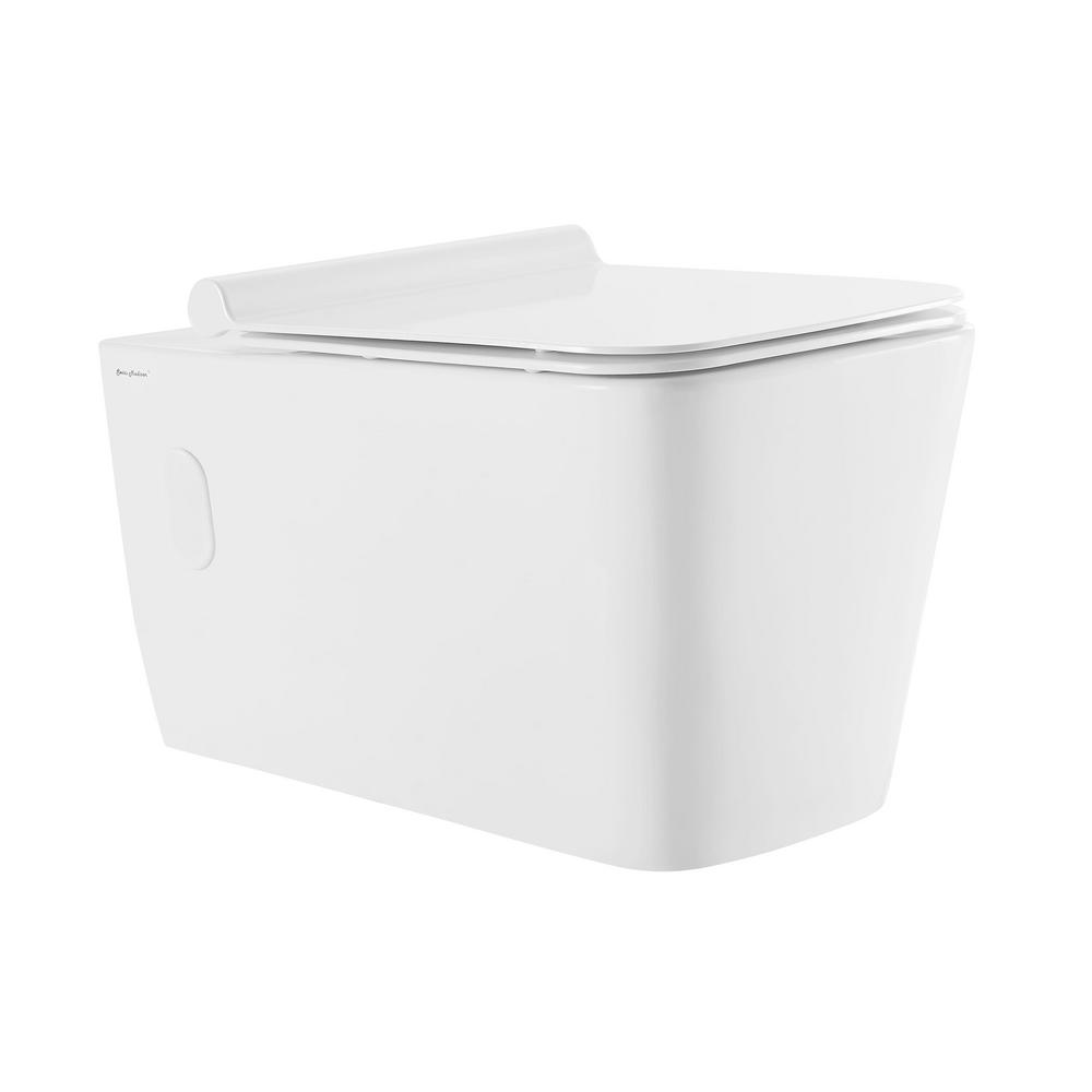 https://images.homedepot-static.com/productImages/6eecf2a7-764b-464e-ba0f-40ba56e5fa90/svn/white-swiss-madison-toilet-bowls-sm-wt442-64_1000.jpg