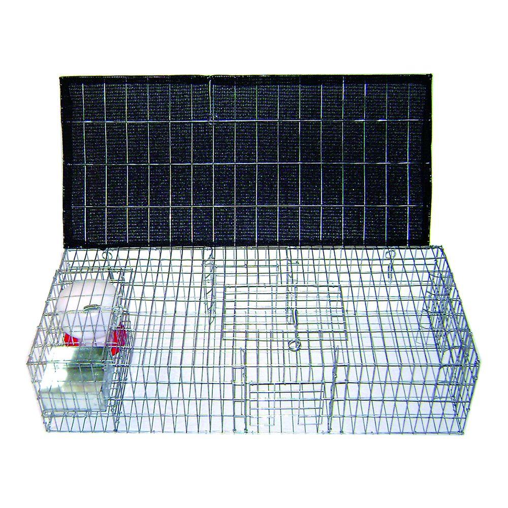Bird B Gone Pigeon Trap with Shade, Food & Water Containers (35 inch x 16 inch x... by Bird B Gone