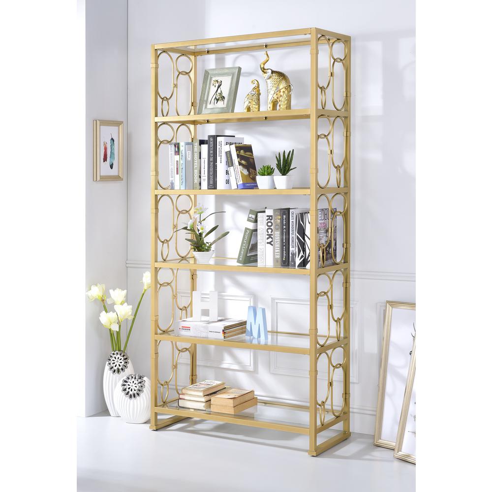 ACME Furniture Milavera Clear Glass and Gold Bookcase92470 The Home