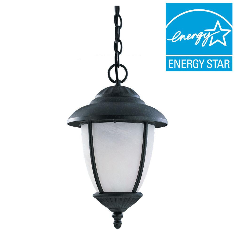 Sea Gull Lighting Kent 1Light Outdoor Black Pendant Fixture6002912