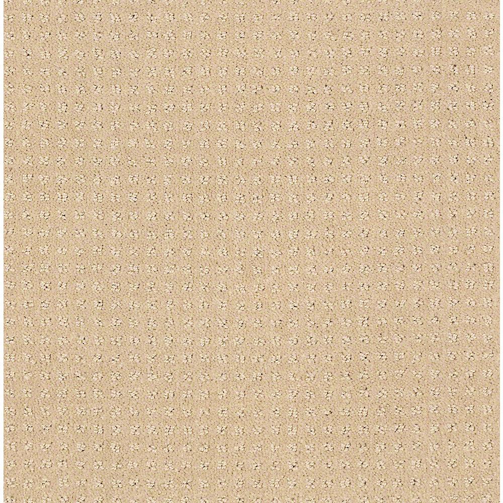  Home  Decorators  Collection  Carpet  Sample Sand Piper  