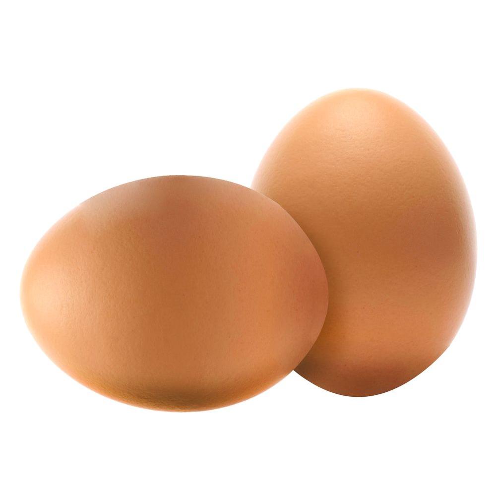 SummerHawk Ranch Ceramic Decoy Nest Eggs (2Pack)33716 The Home Depot