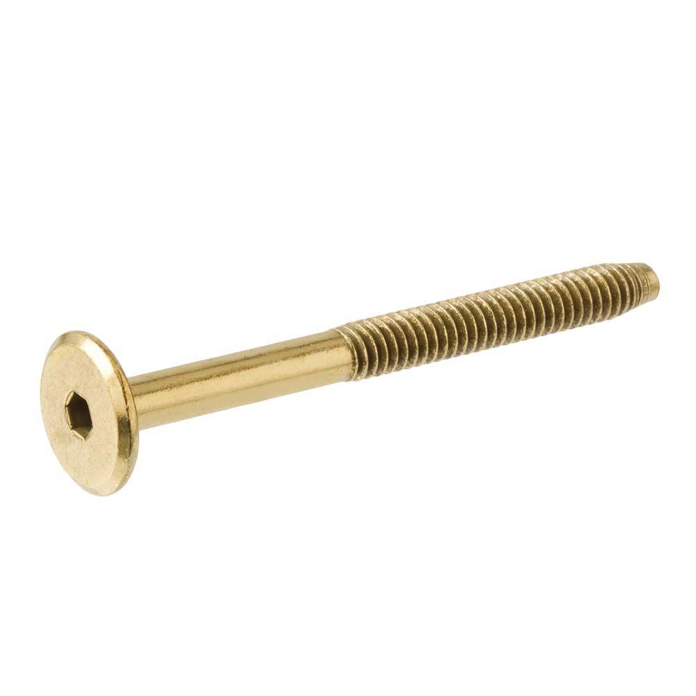 1/4 in. x 23/8 in. Narrow Brass Connecting Bolt817958 The Home Depot