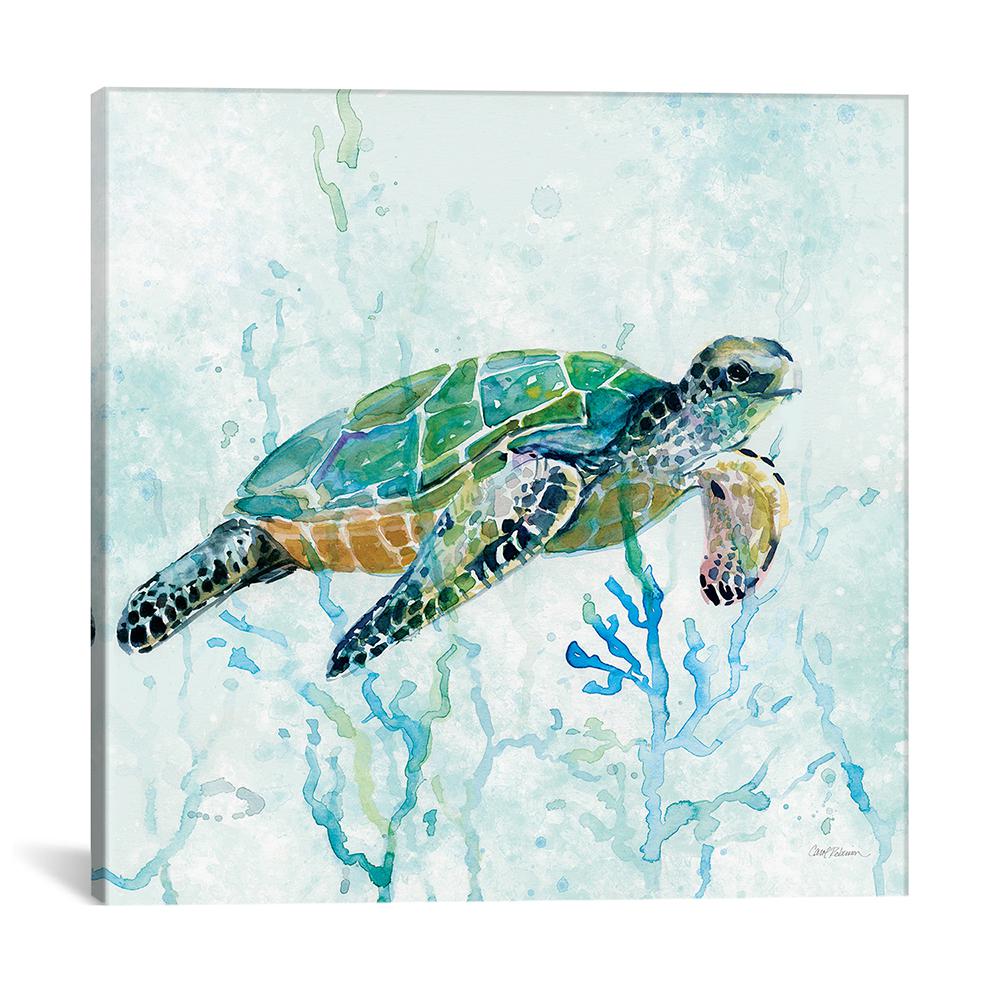 Icanvas Sea Turtle Swim I By Carol Robinson Canvas Wall Art Cro182 1pc3 26x26 The Home Depot