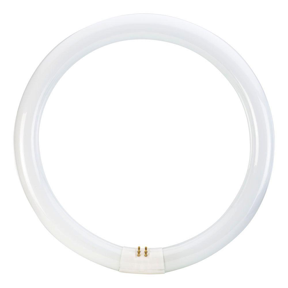 Round tube bulb