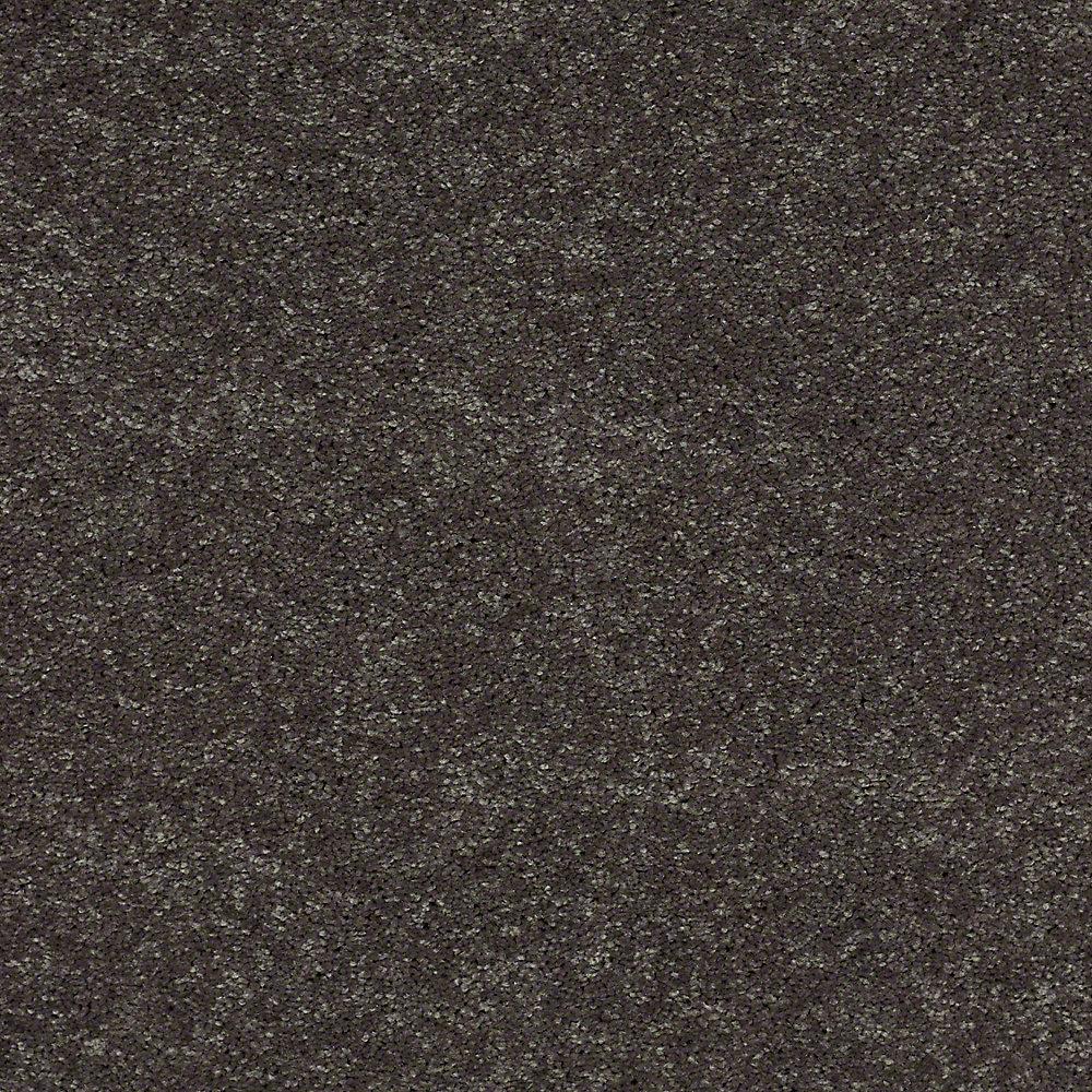 Texture Blacks Carpet Samples The Carpet Sample Brave Soul Ii 12 In Color Black Satin 8 X