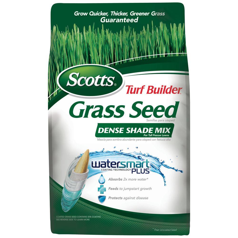 scotts grass seed