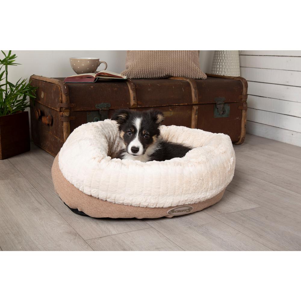 cheap medium dog beds