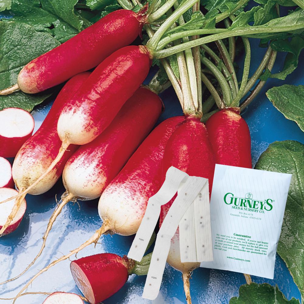 Gurney's 15 ft. Radish French Breakfast (Seed Tape)16643 The Home Depot