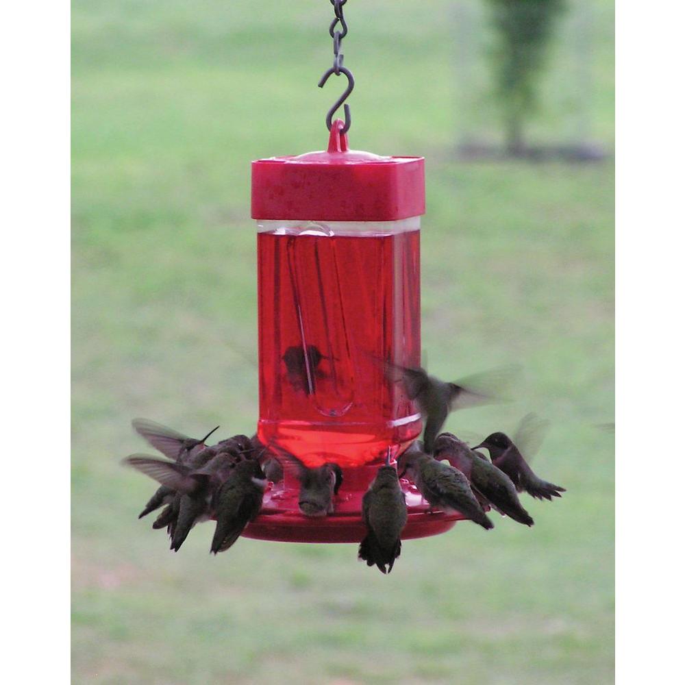 First Nature 32 Oz Hummingbird Feeder 993055 446 The Home Depot