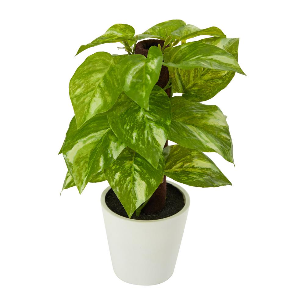 Pothos W//Rectangle Decorative Planter Realistic Nearly Natural Home Office Decor