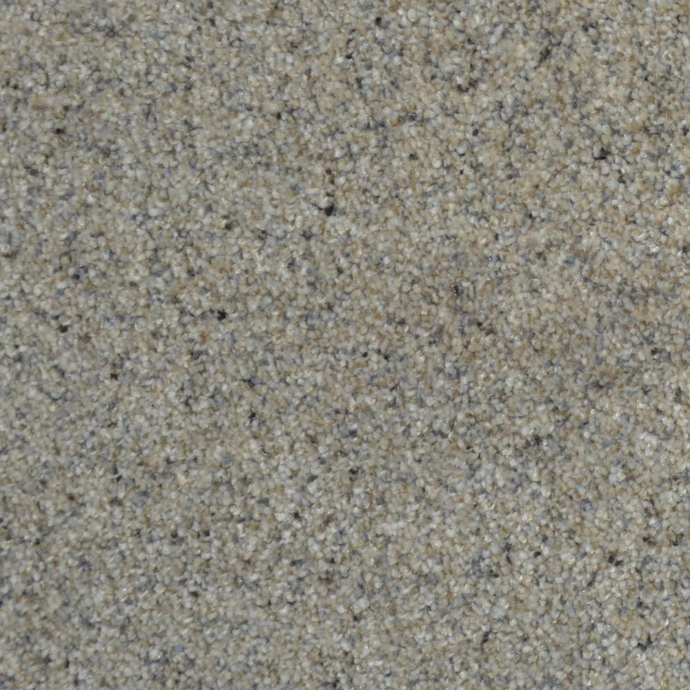 Home Decorators Collection Carpet Sample All The Best I Color Home Decorators Collection Carpet Sample All The Best I Color Kingsland Texture 8 In