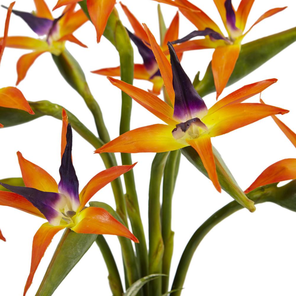 Indoor Bird Of Paradise Silk Arrangement In Black Glossy Cylinder Indoor Bird Of Paradise Silk Arrangement In Black Glossy Cylinder