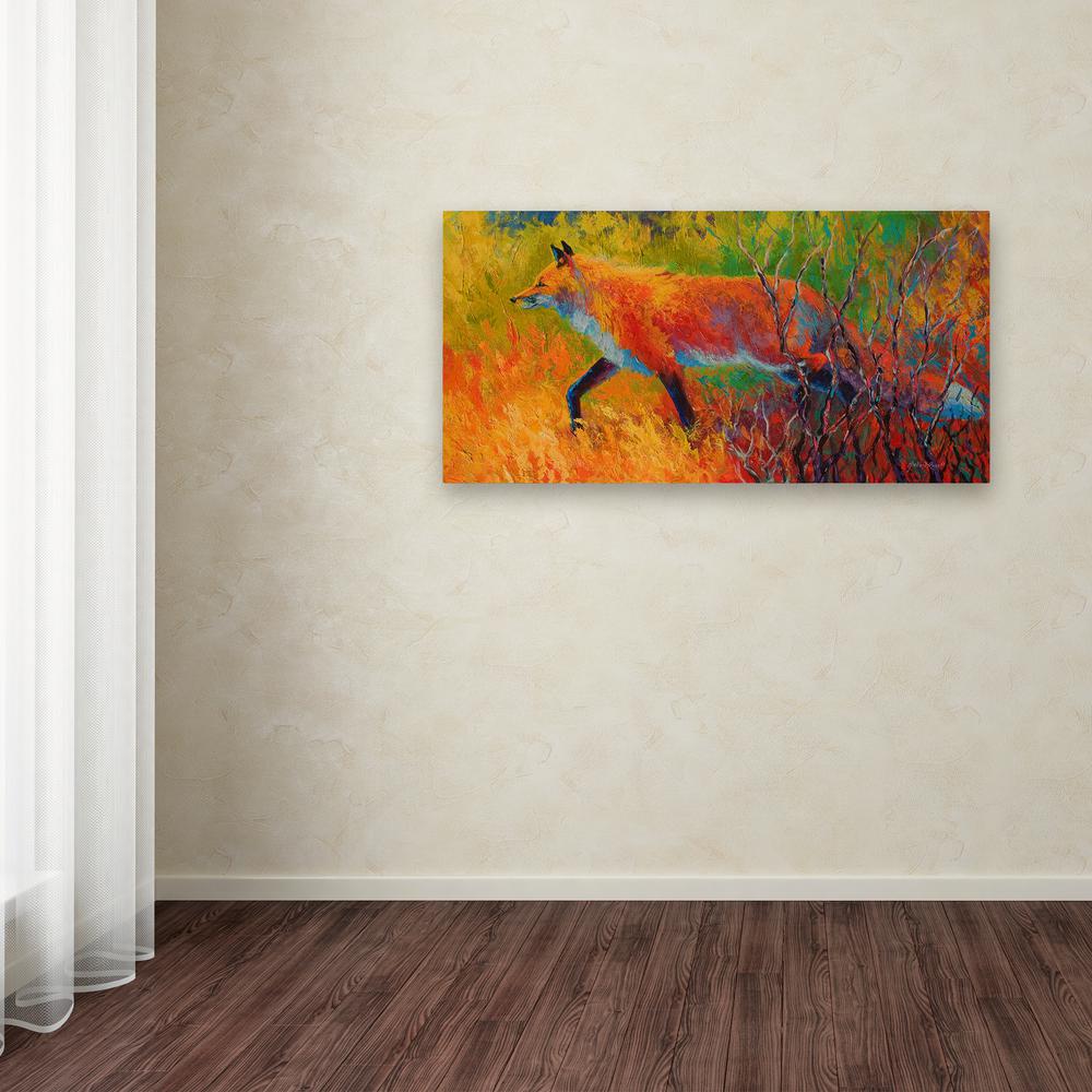 Trademark Fine Art 16 In X 32 In Red Fox 1 By Trademark Fine Art 16 In X 32 In Red Fox 1 By