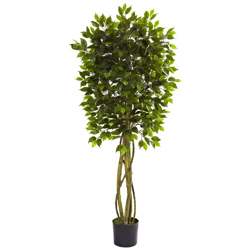 ficus indoor outdoor tree artificial pot trees uv nearly natural resistant silk leaves ft plants plant wayfair qvc faux decor