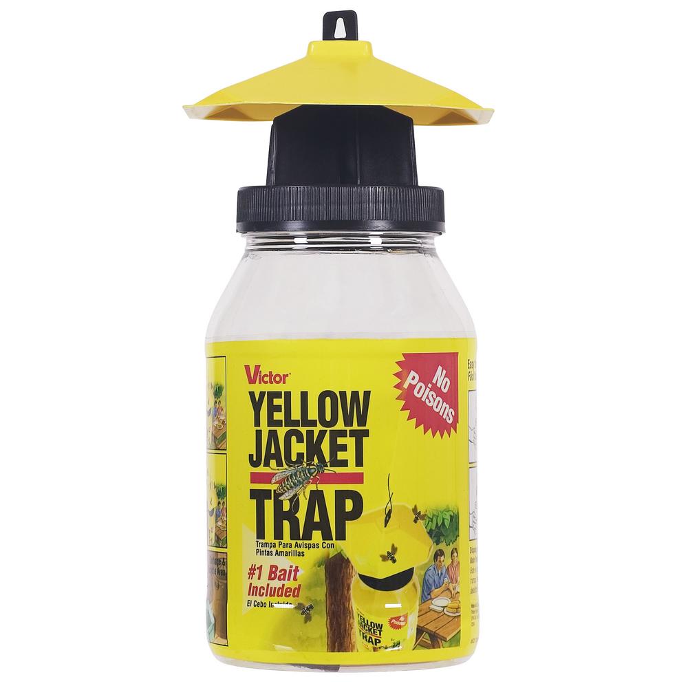Bees - Insect Traps - Insect Control - The Home Depot