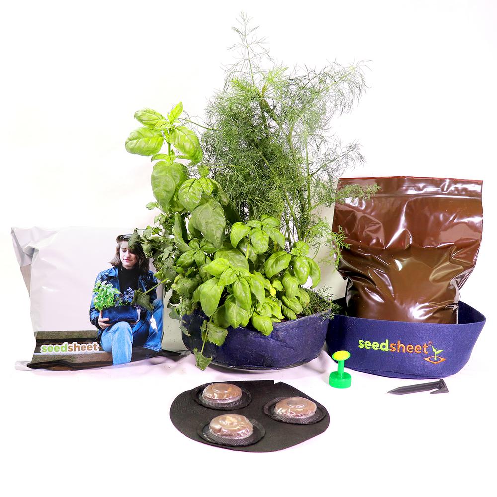 Gyo Mini Herbs Garden Kit Ssmbg1 The Home Depot