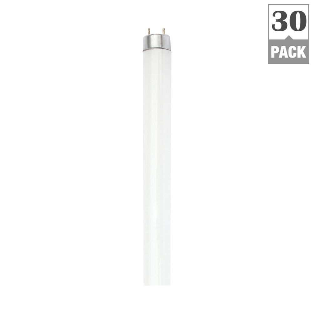 Commercial Electric 32Watt T8 Linear Fluorescent Light Bulb, Warm