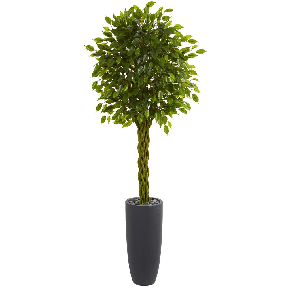 Nearly Natural Indoor Outdoor 6 5 Ft Braided Ficus Artificial