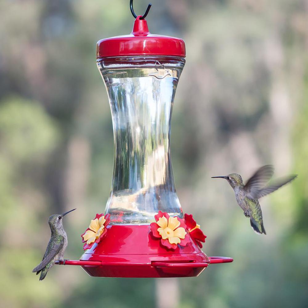 Perky Pet Adjustable Perch Glass Hummingbird Feeder 20 Oz Capacity 476 3 The Home Depot - Red Glass Hummingbird Feeder With Perch Perky Pet Adjustable Perch Glass Hummingbird Feeder 20 Oz Capacity 476 3 The Home Depot - Red Glass Hummingbird Feeder With Perch