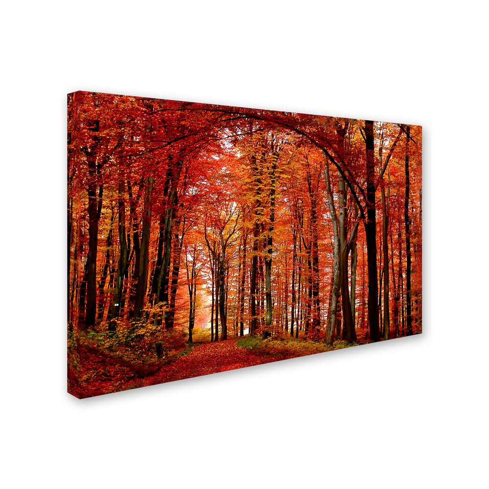 Trademark Fine Art 30 in. x 47 in. The Red Way Canvas Art PSL033 ...