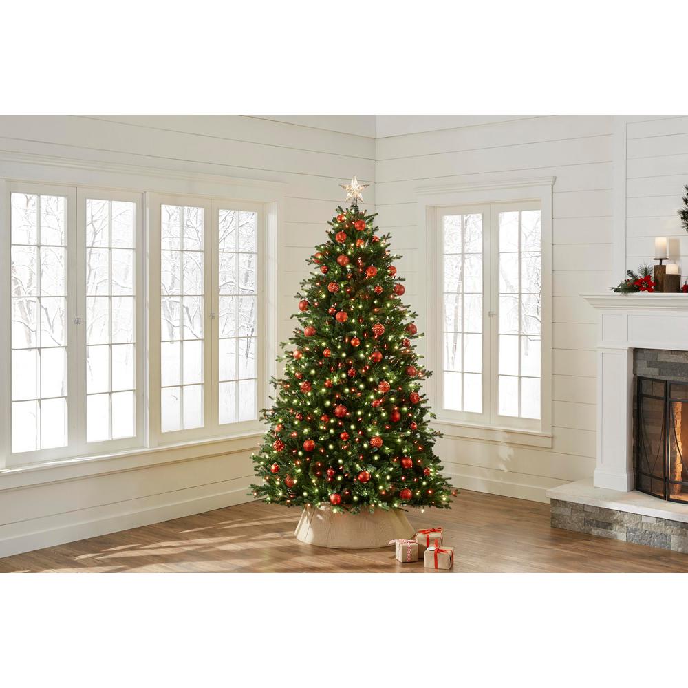 rgb show tree home depot