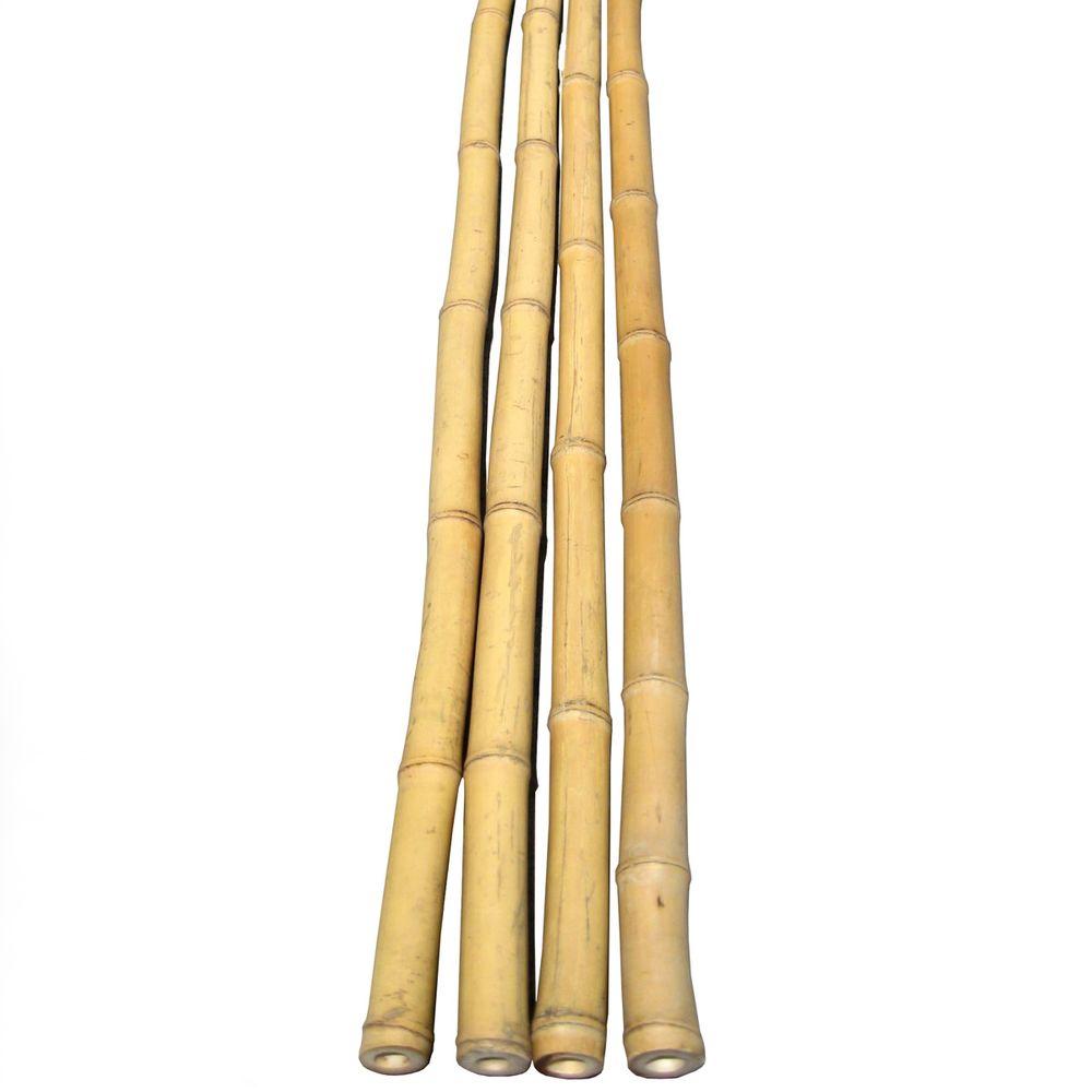 Backyard X-Scapes 1 in. D x 6 ft. H Bamboo Poles Natural (25-Piece ...