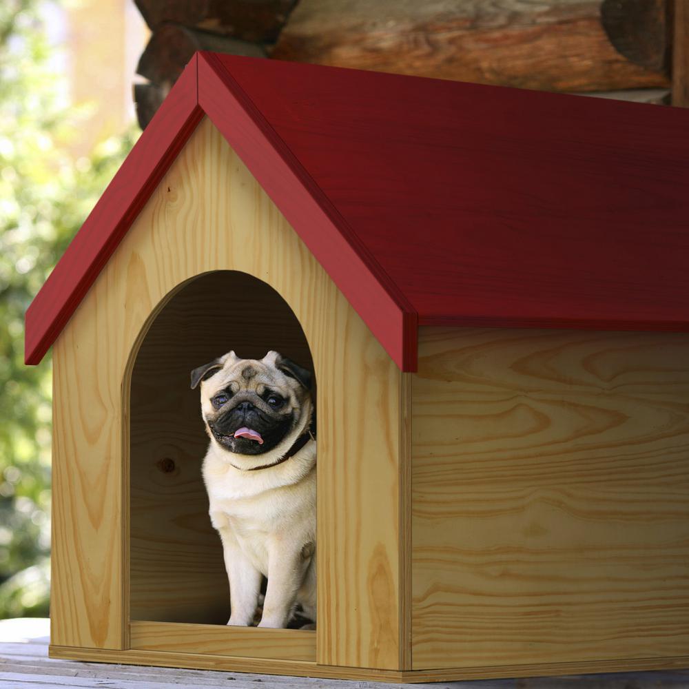 Ac Sanded Pine Plywood Panel Common 2332 In X 4 Ft X