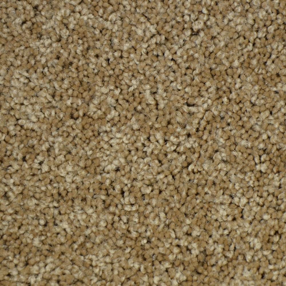 Carpet Sample Thoroughbred Ll Color Chestnut Texture 8 In X 8 In