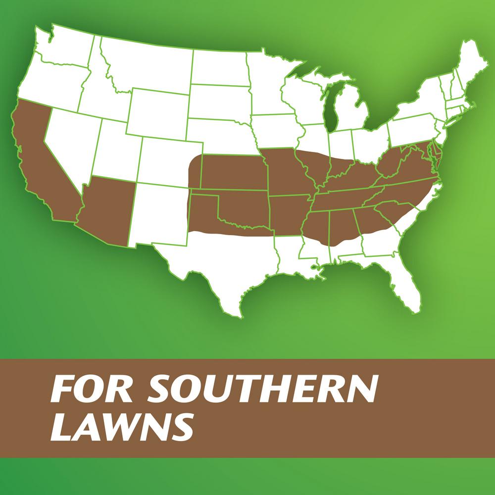 Wonderlawn 25 Sq Ft Green Roll Lawn Seed Blanket South 25449 The Home Depot