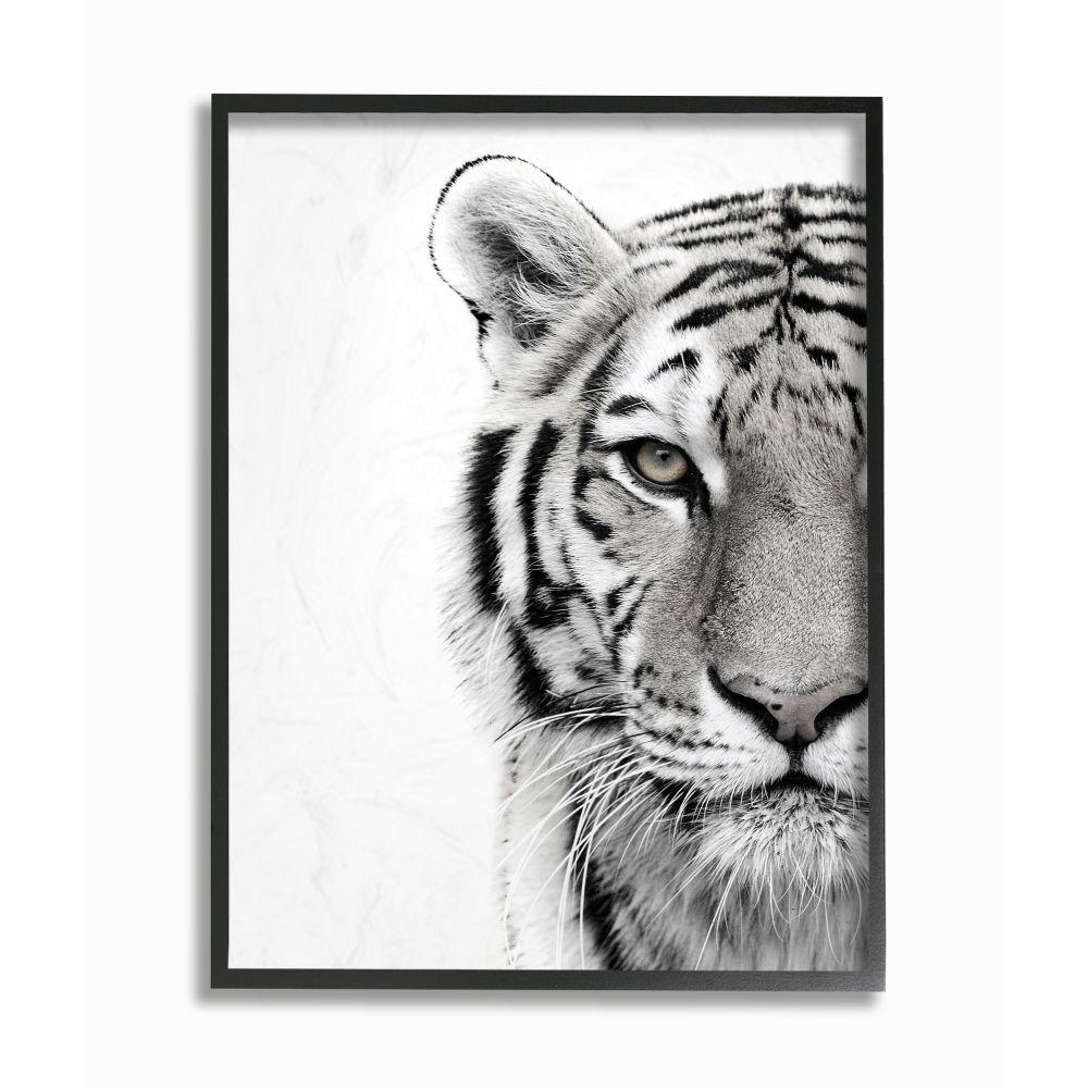 The Stupell Home Decor Collection 16 In X 20 In White Tiger Close Up Black And White Photography By Design Fabrikken Framed Wall Art Aap 293 Fr 16x20 The Home Depot