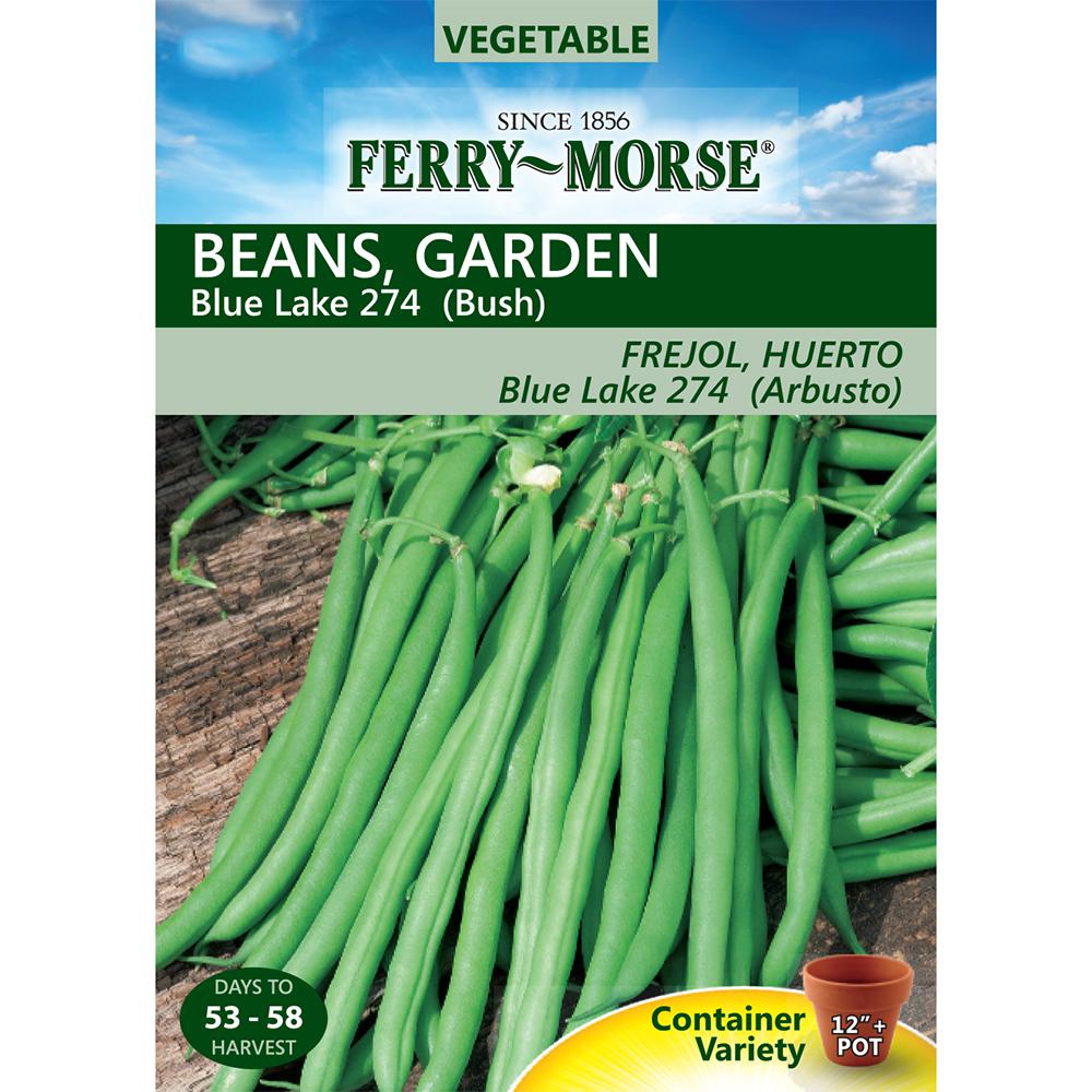 Ferry-Morse Bean Bush Blue Lake 274 Seed-X7081 - The Home Depot